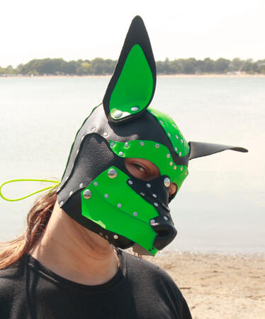 Pup Hood